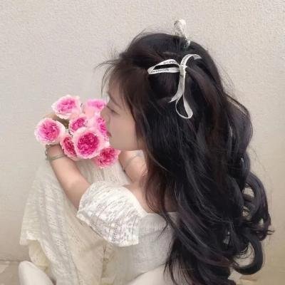 阿尔卑斯的激情